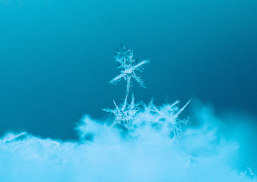ככה הכל התחיל: מה זה בעצם Frost? ❄️